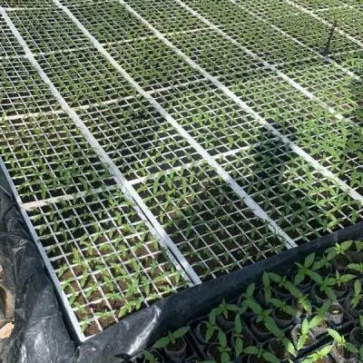 88b65ea17d0f4df7badf7c5695c8b62e