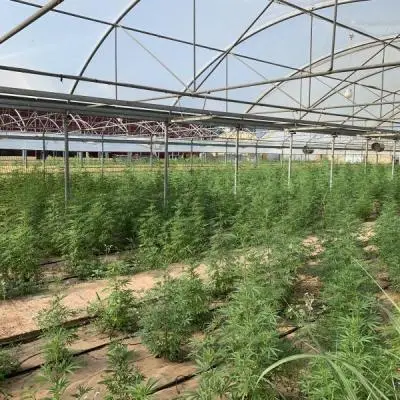 7b1734498a11d1aa7004e142c1323227