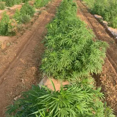 E8679ef6d2cba64a4e15cc1adcd81e79