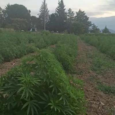 B4c0e26be474b0a52e594be2e2884600