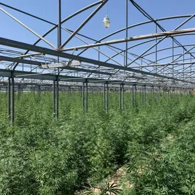 323f212b17f27f2396d9b75798fa9b17