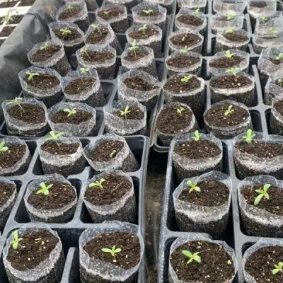 1070b8b634a98f5c481989edce6c4957