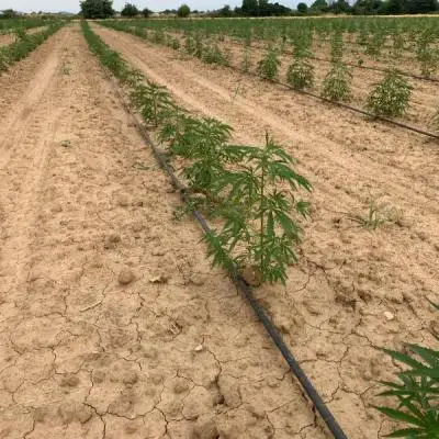 8c286ab6b0e5530ca937dbfe49254158