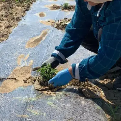 F4f88fdf7469d68e8d4159f8d021afe3