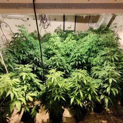 50fe8f453eadd1ab55fa8cefe77a3c41