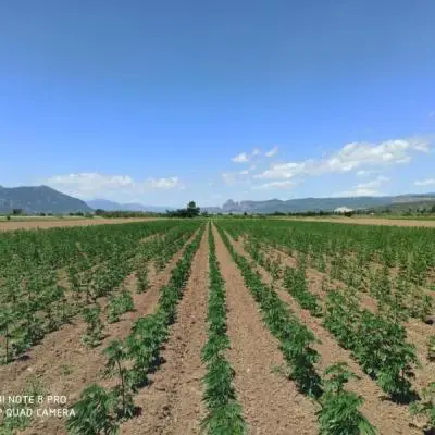 5cf1241a49860d1b1bc8d7eeae6d9306