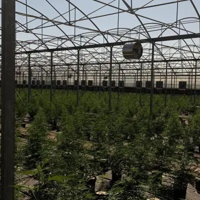 Fc9c80bd440986d13a787bc4d07ffe25