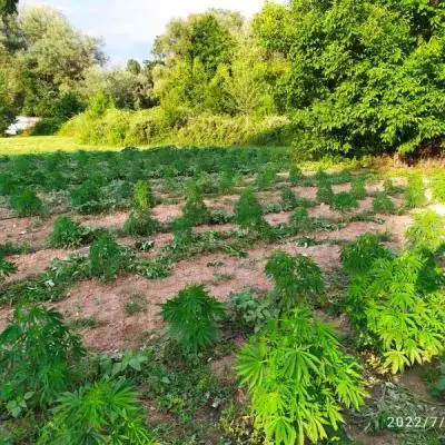 79c40bd4a1aaab07d0e55b935eca05fc